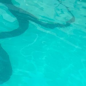 Meet your Posher, Emy